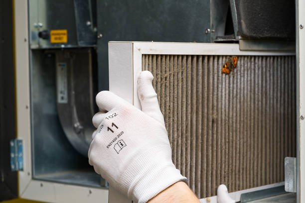 Best Home Air Vent Cleaning  in Piqua, OH